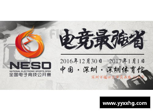 从零到英雄：如何借鉴我喜欢的体育明星的成功秘诀