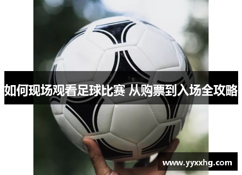 如何现场观看足球比赛 从购票到入场全攻略