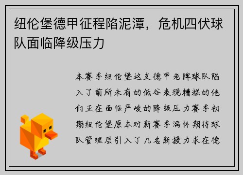 纽伦堡德甲征程陷泥潭，危机四伏球队面临降级压力